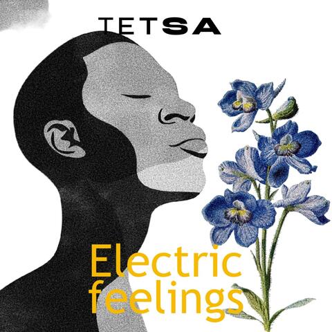 Electric Feelings