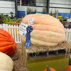 When Did I Lose You? (BooLaLa)