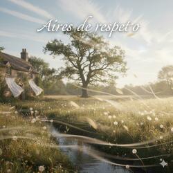 Aires de respeto