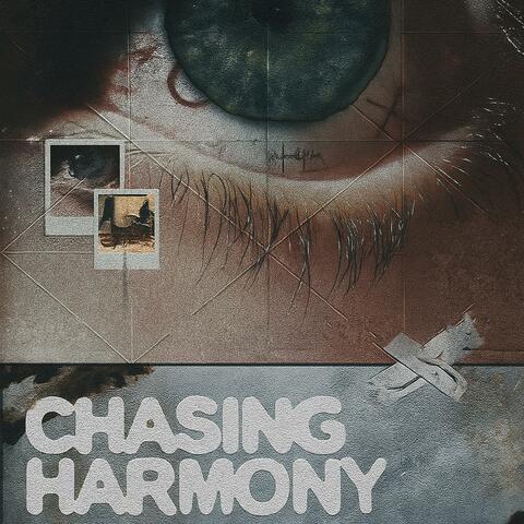 chasing harmony