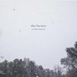 After The Snow