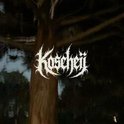 Arephid