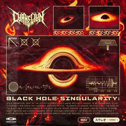 Black Hole Singularity