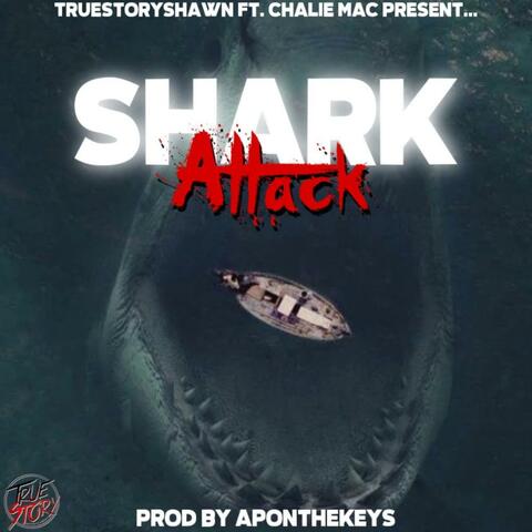 Shark Attack