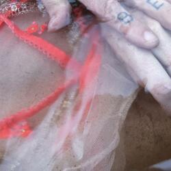 No One Will Find My Corpse