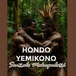 Hondo yeMikono (Remix)