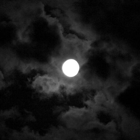 where have you been?