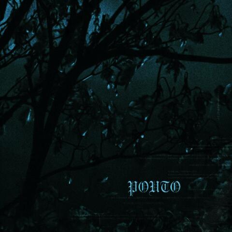 Pouto