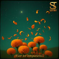 Flor de Cempasúchil