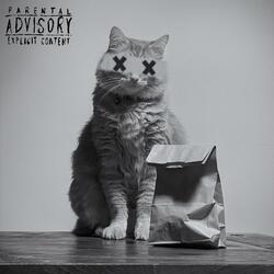 i dont know what it was, but i took it anyways