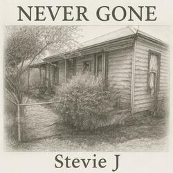 Never Gone