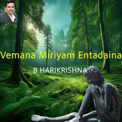 Vemana Miriyam Entadaina