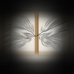 Left in the Shadow (Radio Edit)