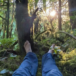 Whispers of the Land