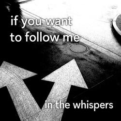 if you want to follow me