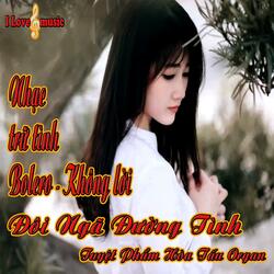 Nhạc Trữ Tình Bolero không lời - Đôi Ngã Đường Tình - Tuyệt Phẩm Hòa Tấu Organ