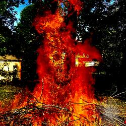 Holy Ground (Burning Bush)