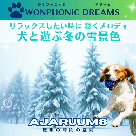 リラックスしたい時に 聴くメロディ　犬と遊ぶ冬の雪景色