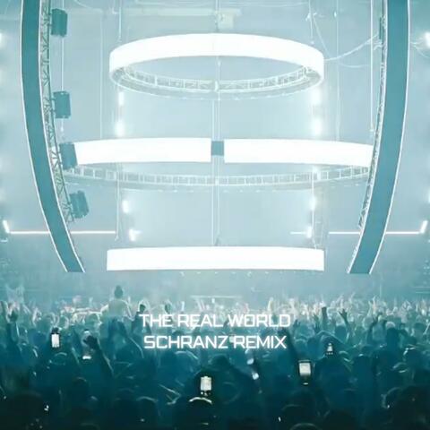 The Real World (schranz-remix-)