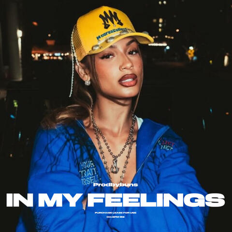 In My Feelings