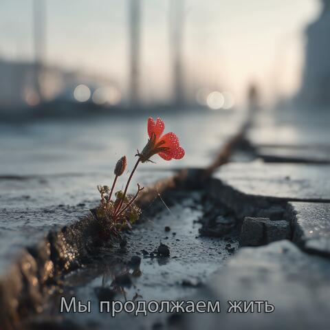 Мы продолжаем жить