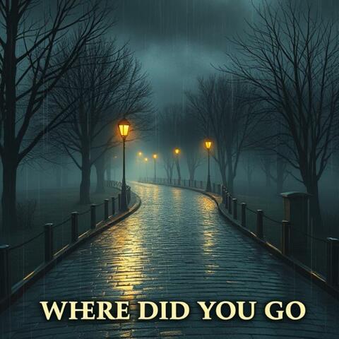 Where Did You Go