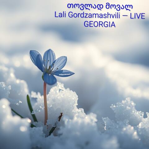 თოვლად მოვალ