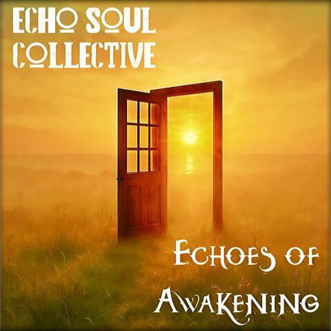 Echoes of Awakening