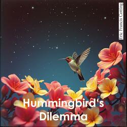 Hummingbird's Dilemma (Acid Trance Arab Mix)
