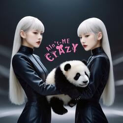 Crazy (AIn't Crazy4This)