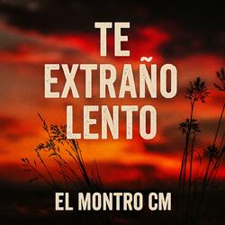 TE EXTRAÑO LENTO