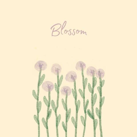 Blossom