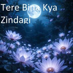 Tere Bina Kya Zindagi