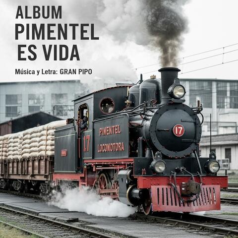 Feliz 28 de Julio. Pimentel es Vida