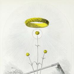 An Ancient Evil Stirs