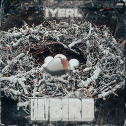 Early Birdy