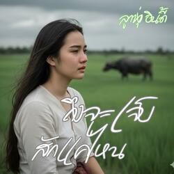 ถึงจะเจ็บสักแค่ไหน (ลูกทุ่ง อินดี้)