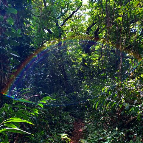 The Best is Yet to Come