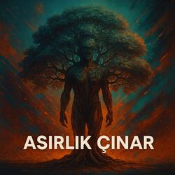 Asırlık çınar
