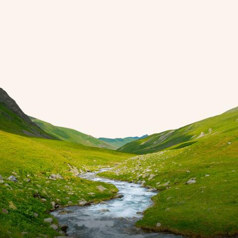 CERTIFIED HEADBANGER 2 / STREAMS