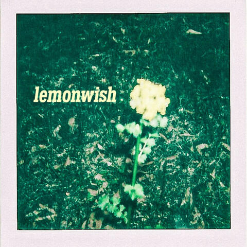 lemonwish