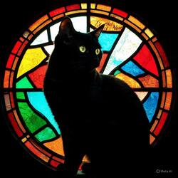 You Don't Know What You're Losing (Mod Revival Version)