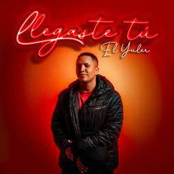 LLEGASTE TU