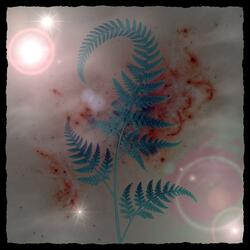 The darkness between the stars