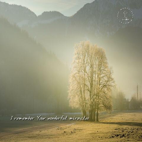 I remember Your wonderful miracles