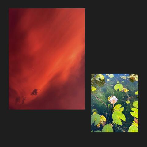 Blood & Leaves in the Eastern Skies, Pt. 1