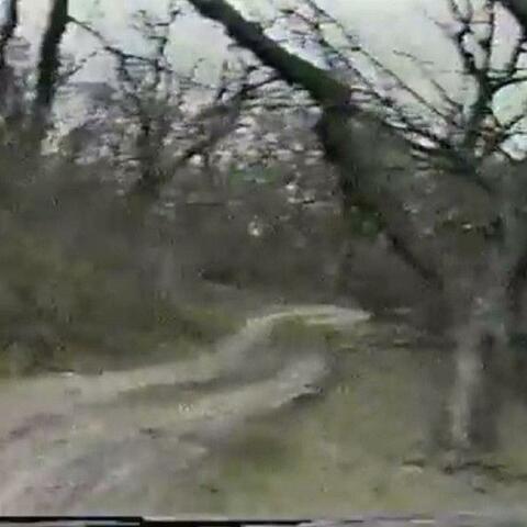 01110010 01100101 01100001 01101100 01101001 01110100 01111001