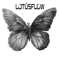 butterfly (lotusflip)