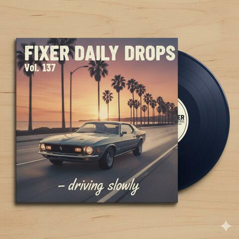 Fixer Daily DropsVol. 137 (driving slowly)