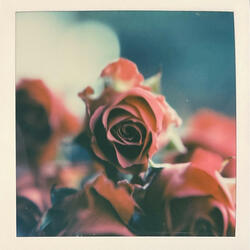 novocaine (feat. Prince Pharaoh)